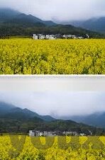 245OO足球比分-24500足球比分，数字背后的激情与梦想，解码绿茵场的数字密码